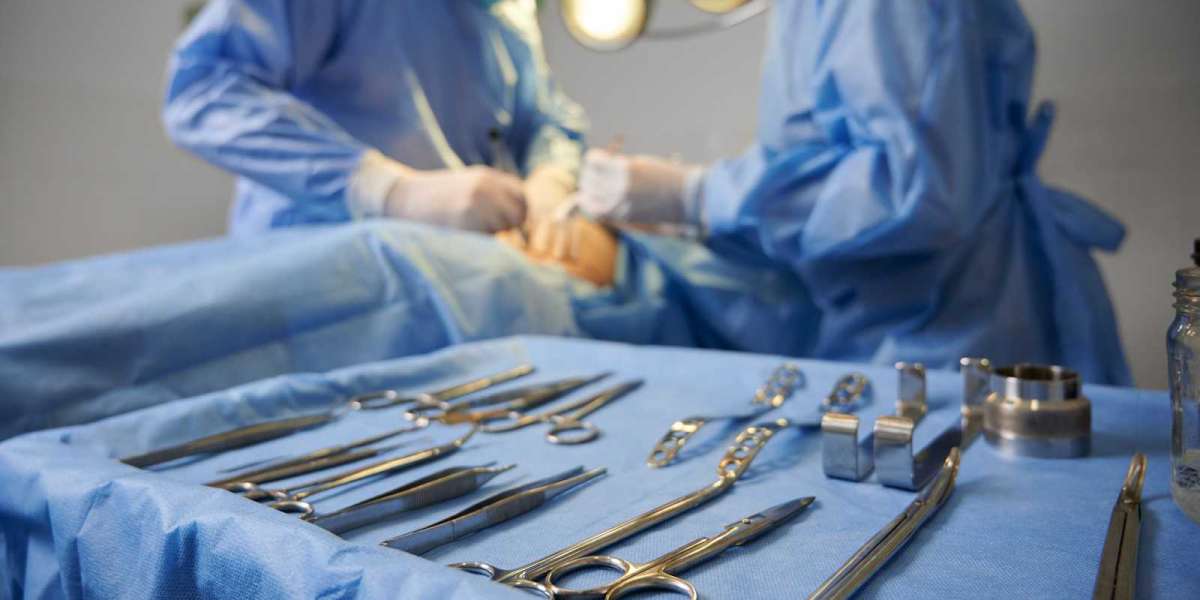 Market Dynamics: Factors Shaping the Plastic Surgery Instruments Industry