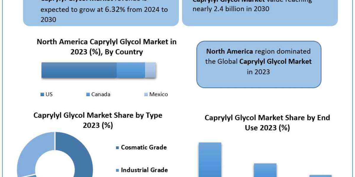 Caprylyl Glycol Market Insights on Scope and Growing Demands 2030