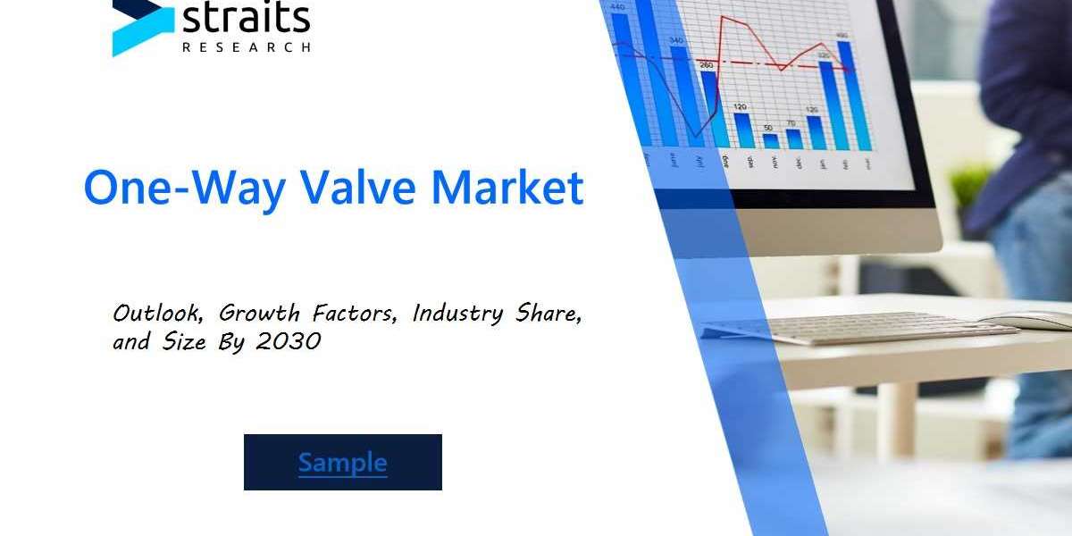 One-Way Valve Market Trends and Forecasts: Analyzing the Impact of Emerging Technologies and Market Dynamics Through 202