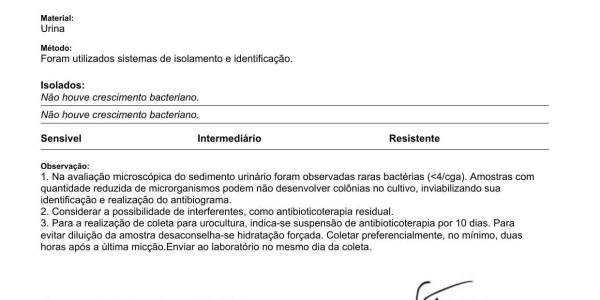 O preço do eletrocardiograma para cães: o que você precisa saber antes da consulta