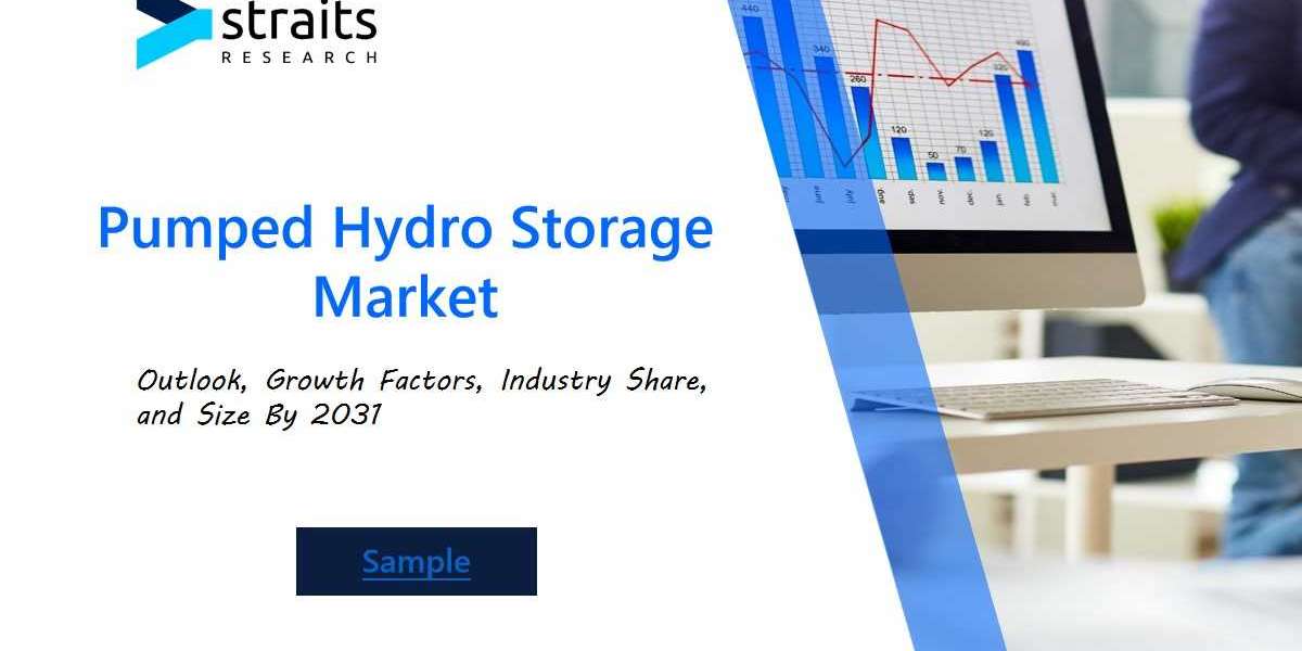 Pumped Hydro Storage Market Trends: Assessing Global Developments, Challenges, and Opportunities for Investors