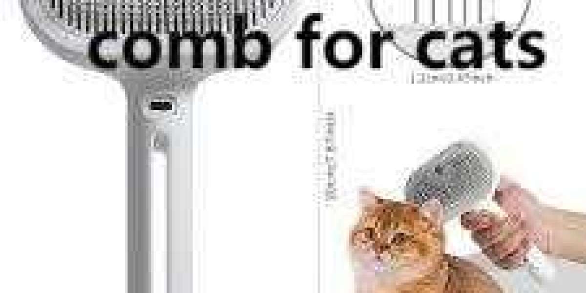 Eco-Conscious Grooming Tool Production