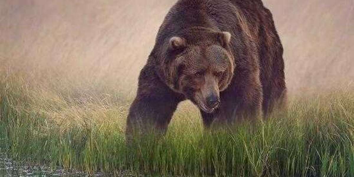 UCL: Boniface Included in Bayer Leverkusen Squad for Atletico Clash