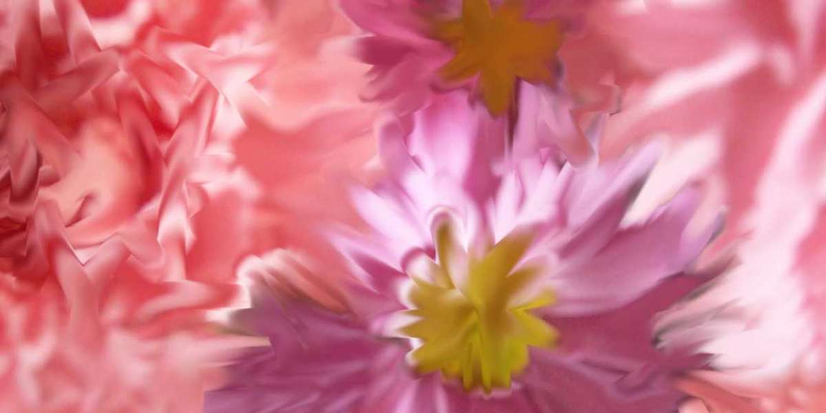 SGR Star Entertainment has a stalker rather than a saviour