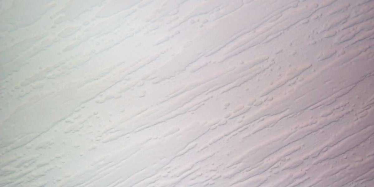 Meet the People Behind the Play