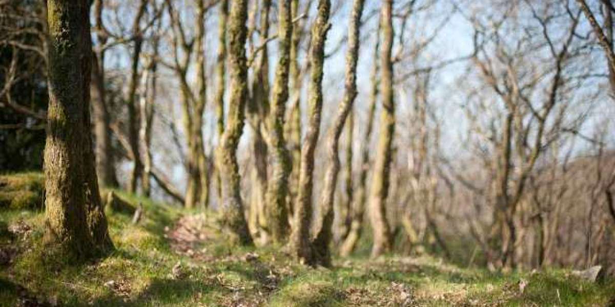 Crown Towers Melbourne, Melbourne updated prices 2025