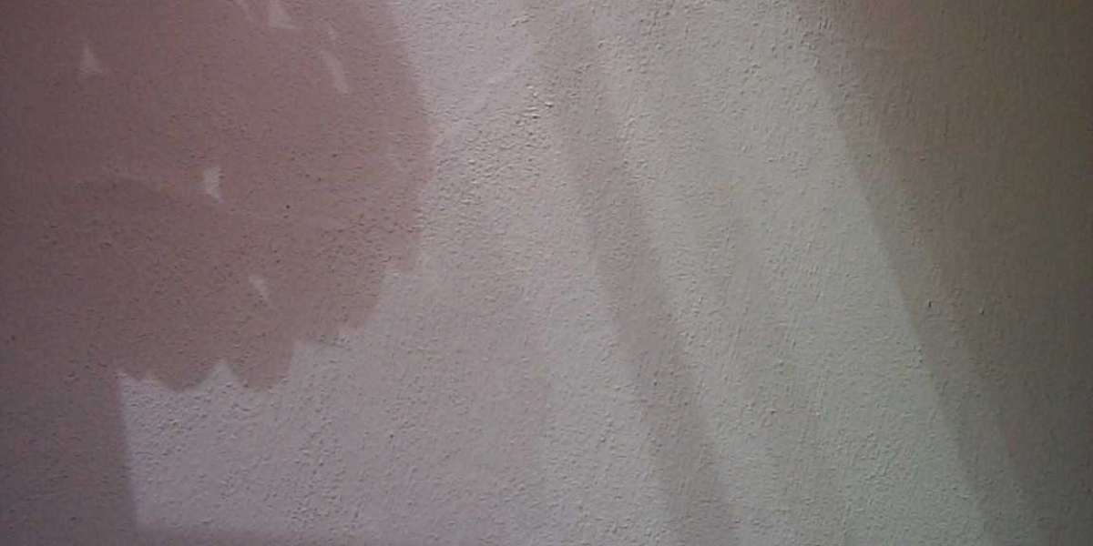 100% Bonus up to 500 + 100 Free Spins