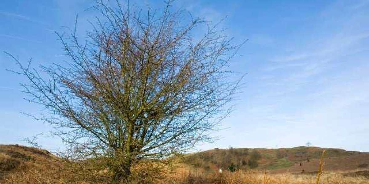 7Bit Casino Review 2025: Games, Bonuses & Features