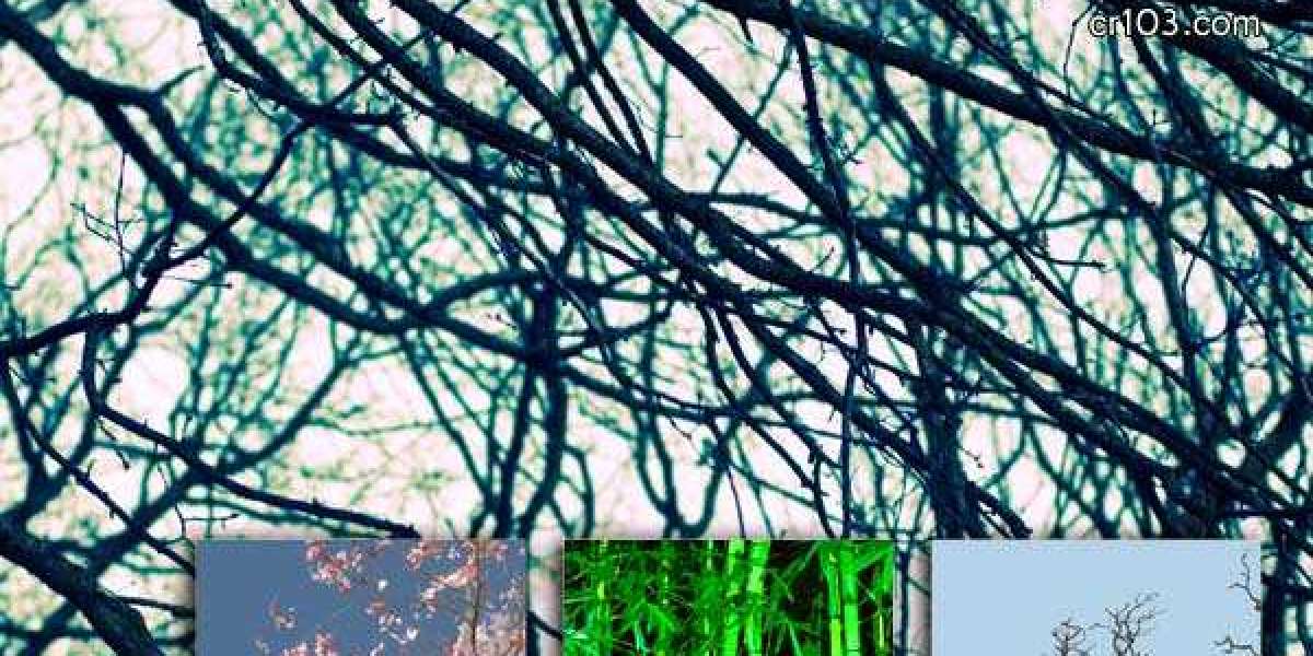 Rocketplay casino Australia