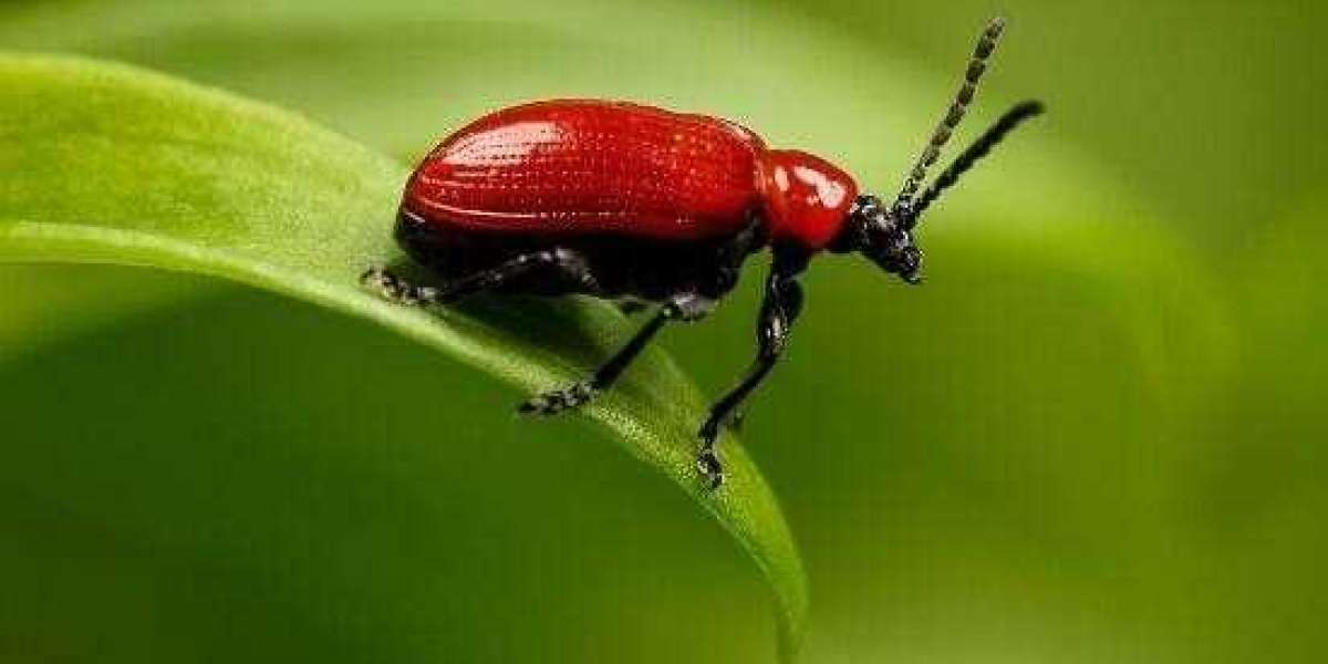 Top 15 Property Associations to Take Part 2025