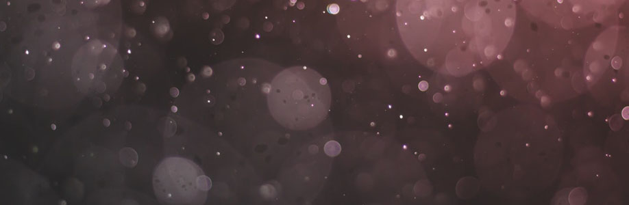 paulopedrodapa Cover Image